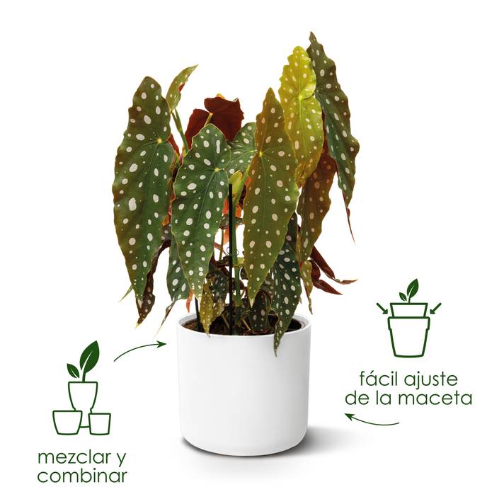 b.for soft round 18cm white